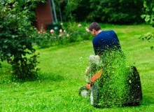 Kwikfynd Lawn Mowing
murrumbadowns