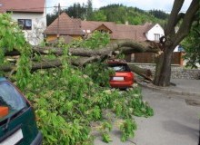 Kwikfynd Tree Cutting Services
murrumbadowns