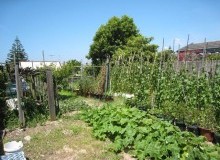 Kwikfynd Vegetable Gardens
murrumbadowns